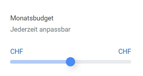 Google Ads Budget BSZ Online Solutions